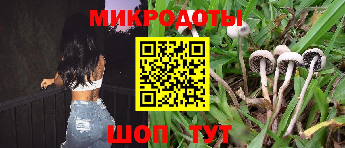 Галлюциногенные грибы ЛСД Кировск